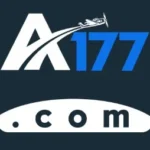 A177 Game